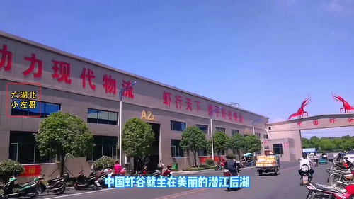 中国虾谷 兴建全市375个村级服务社,1个农产品仓储物流配送中心